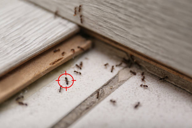 Best Pest Prevention Services  in Delafield, WI